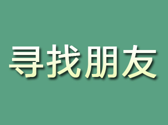 托里寻找朋友